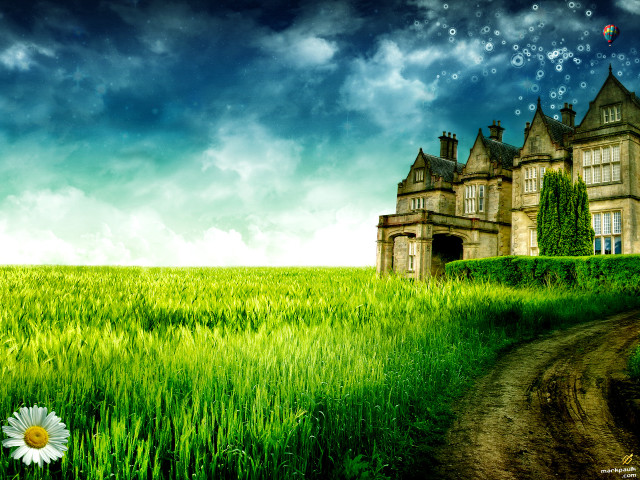 Large house field grass flower free wallpaper for desktop - medium preview image
