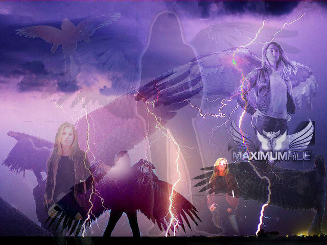 Woman bird lightning background bird free wallpaper for desktop - medium preview image