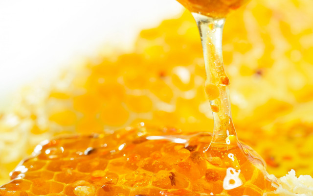 Honey dripping spoon honeycomb background free wallpaper for desktop - medium preview image
