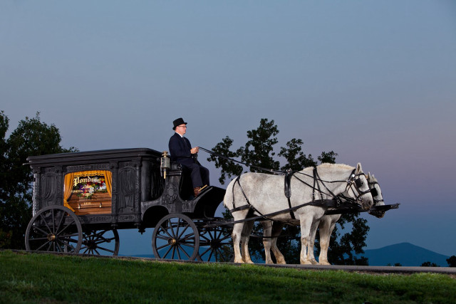 Man riding horse drawn carriage #2 free wallpaper for desktop - medium preview image