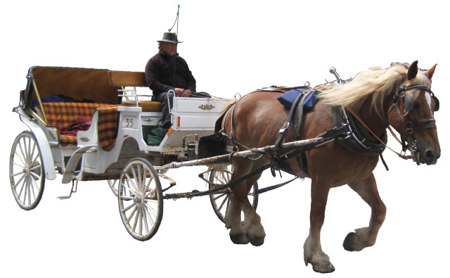 Man horse drawn carriage blanket free wallpaper for desktop - medium preview image