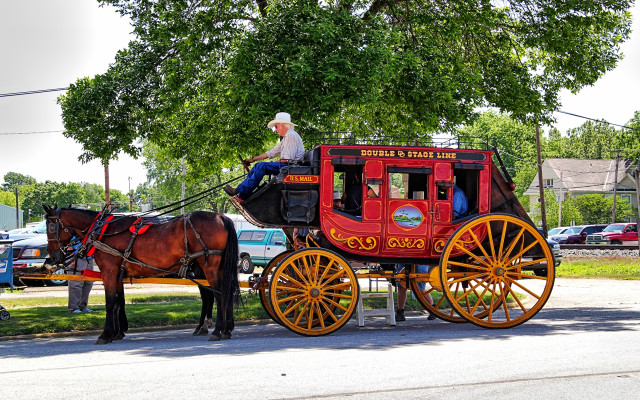 Man horse carriage street park free wallpaper for desktop - medium preview image