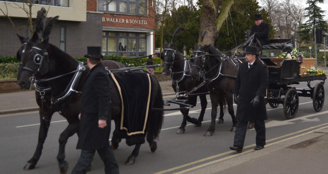 Man top hat leading carriage free wallpaper for desktop - medium preview image
