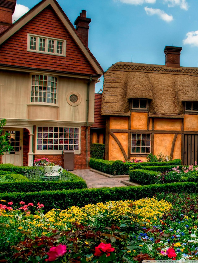 House garden hedge boxwood hedge free wallpaper for mobile - medium preview image