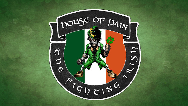 Irish flag green suit shamrock free wallpaper for desktop - medium preview image