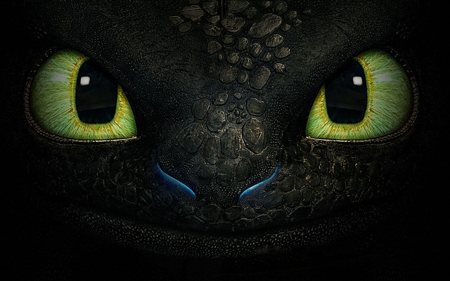 Cat eyes green yellow eyeshades free wallpaper for desktop - medium preview image