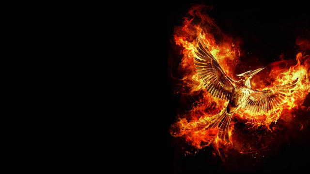 Bird long tail flying fire free wallpaper for desktop - medium preview image