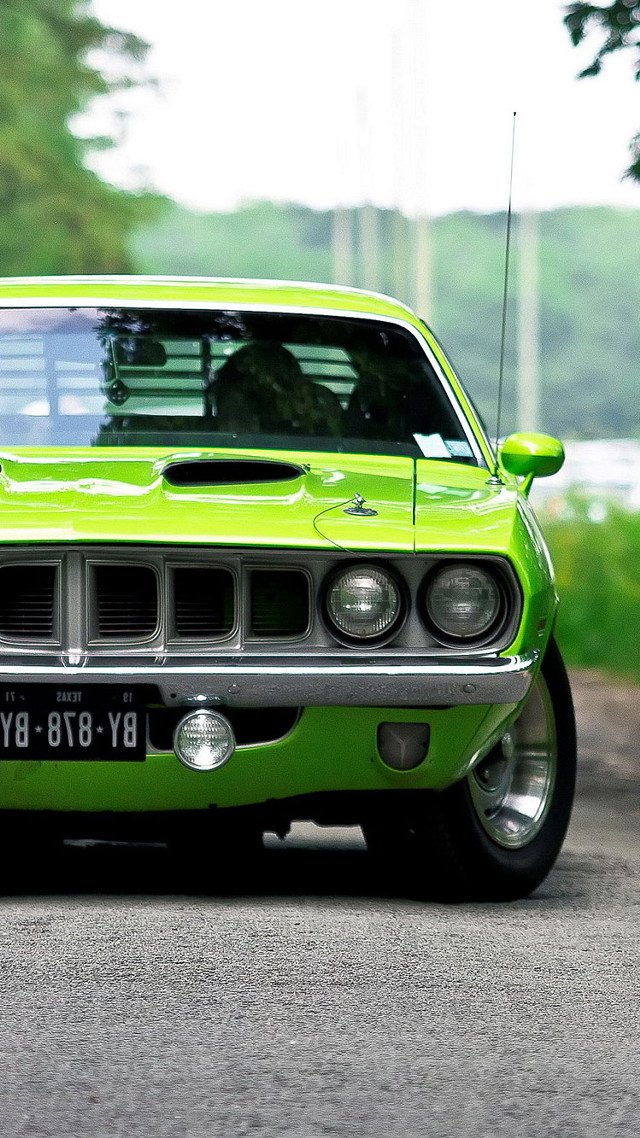 Green car parked roadside forest free wallpaper for mobile - medium preview image