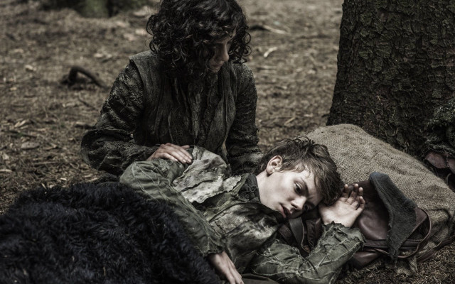 Man woman tree woods dog free wallpaper for desktop - medium preview image