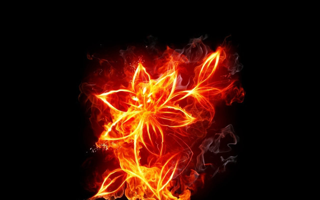 Fire flower bright flames black free wallpaper for desktop - medium preview image