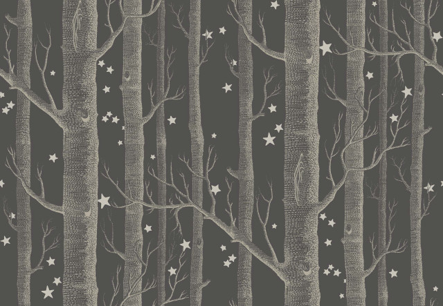 Black white forest stars branches free wallpaper for desktop - medium preview image