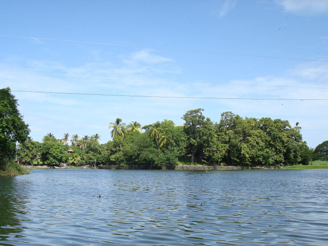 Water trees powerlines blue sky free wallpaper for desktop - medium preview image