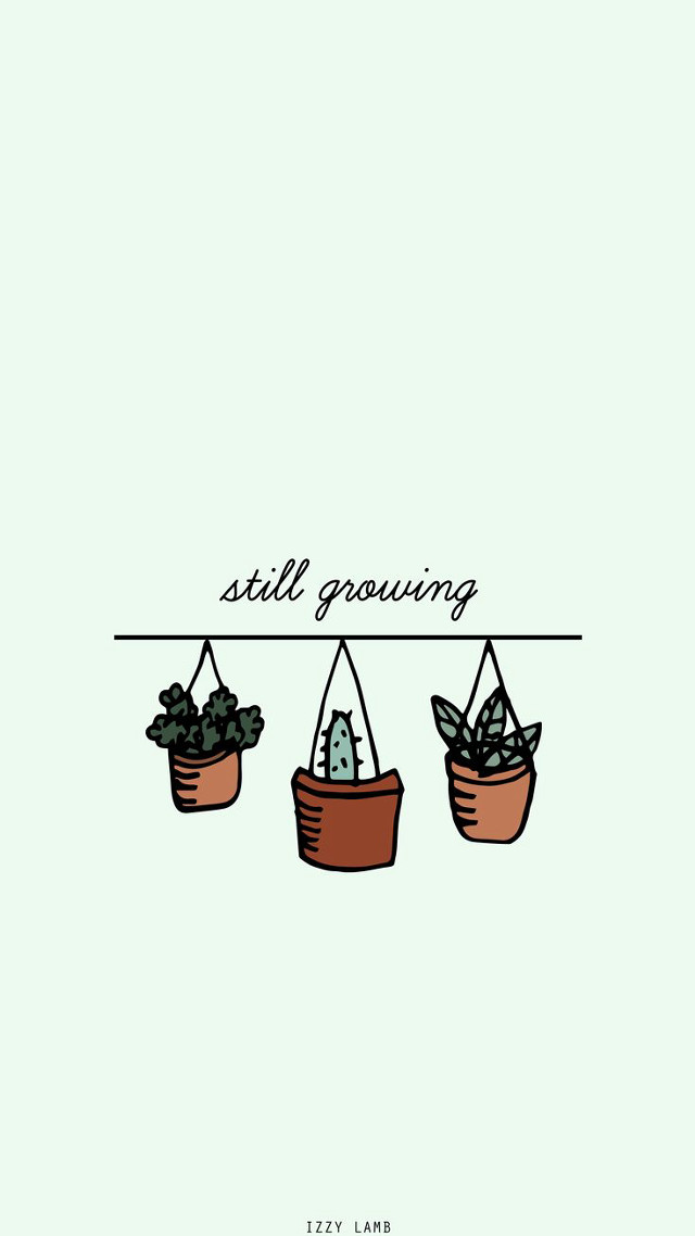 Still growing three potted plants free wallpaper for mobile - medium preview image
