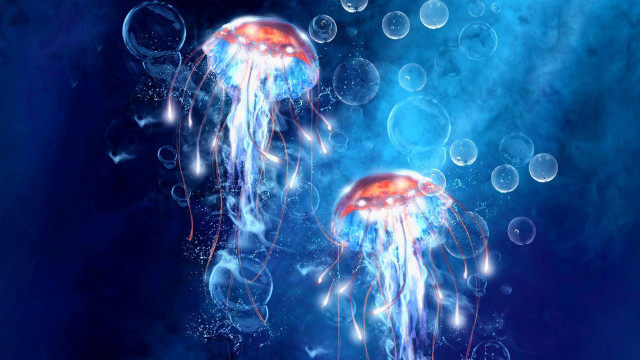 Jellyfish floating water bubbles blue #3 free wallpaper for desktop - medium preview image