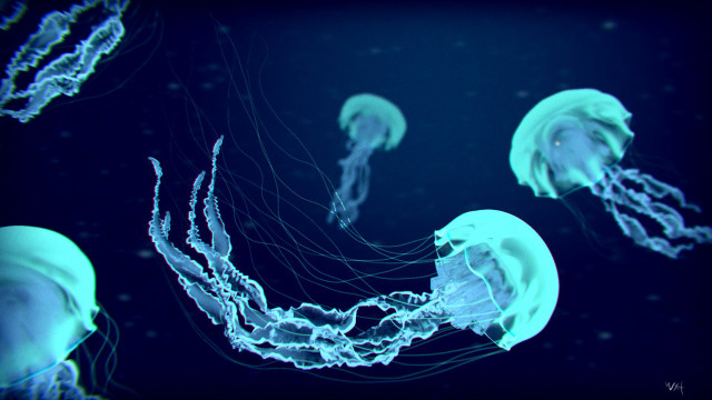 Jellyfish group swimming dark blue free wallpaper for desktop - medium preview image