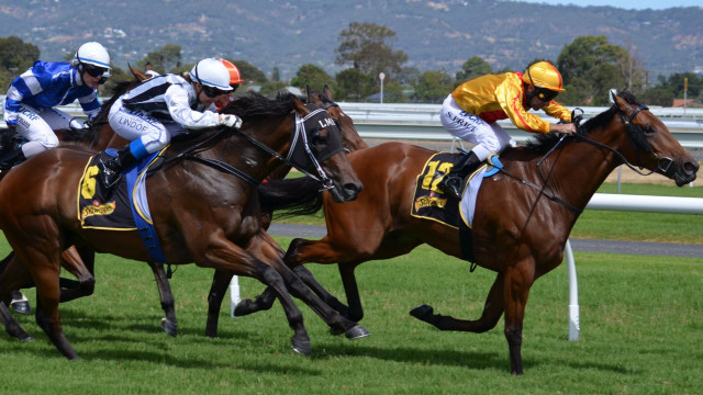 Men horses race track sky free wallpaper for desktop - medium preview image