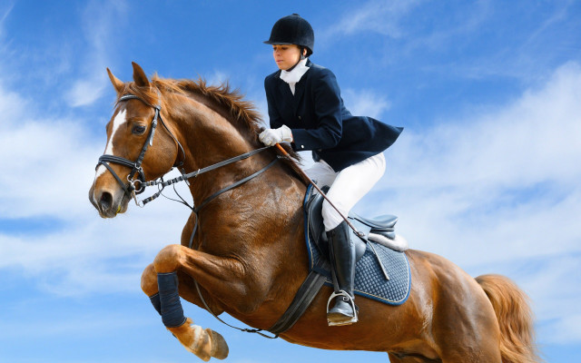 Woman riding horse in air free wallpaper for desktop - medium preview image