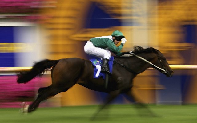 Jockey horse race field blurry free wallpaper for desktop - medium preview image