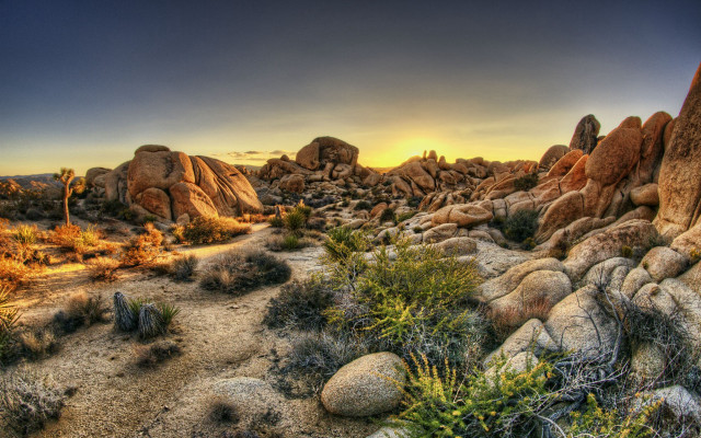 Desert rocks plants sunset background free wallpaper for desktop - medium preview image