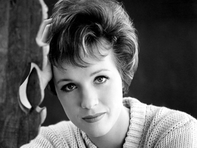 Woman sweater posing picture hair free wallpaper for desktop - medium preview image