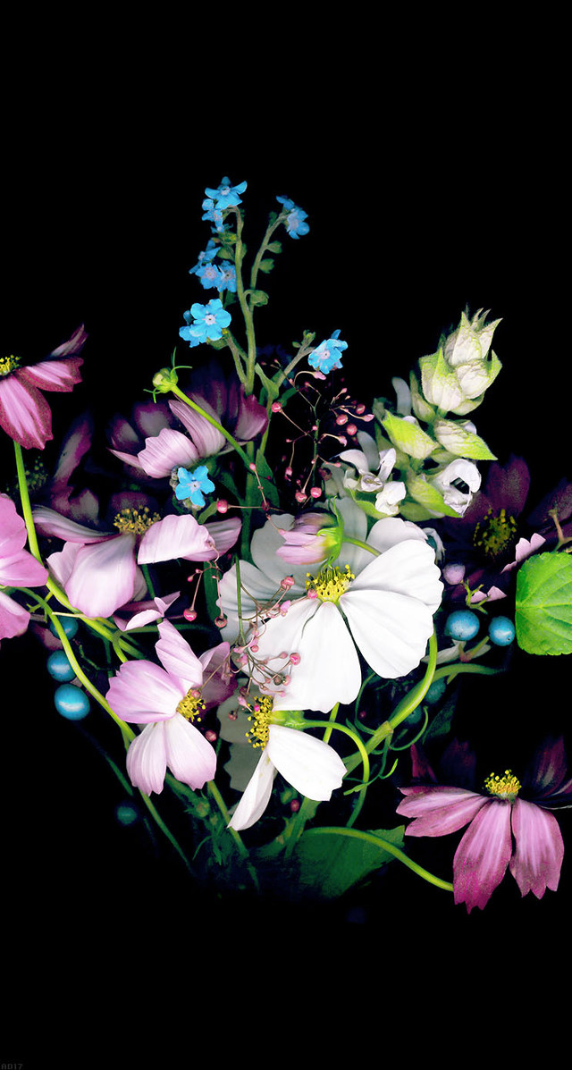 Bouquet dark room black background free wallpaper for mobile - medium preview image