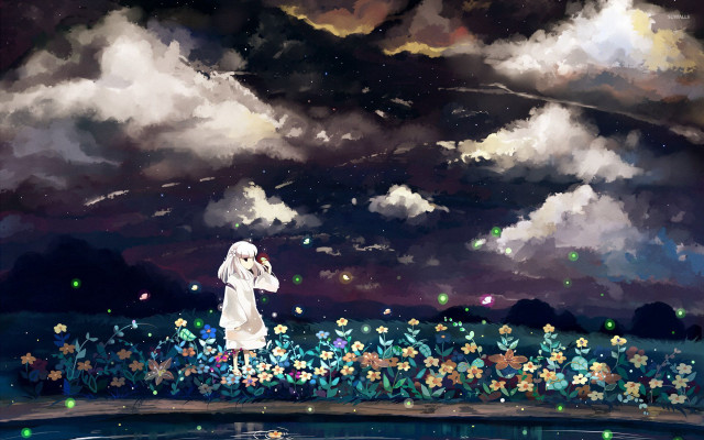 Woman field flowers sky background free wallpaper for desktop - medium preview image