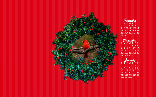 Calendar red bird tree wreath free wallpaper for desktop - medium preview image