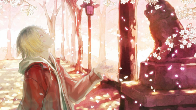 Girl looking out window cat free wallpaper for desktop - medium preview image