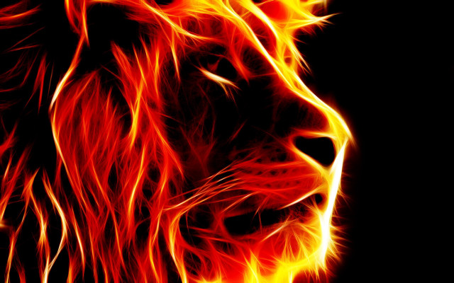 Lion flames dark red yellow free wallpaper for desktop - medium preview image