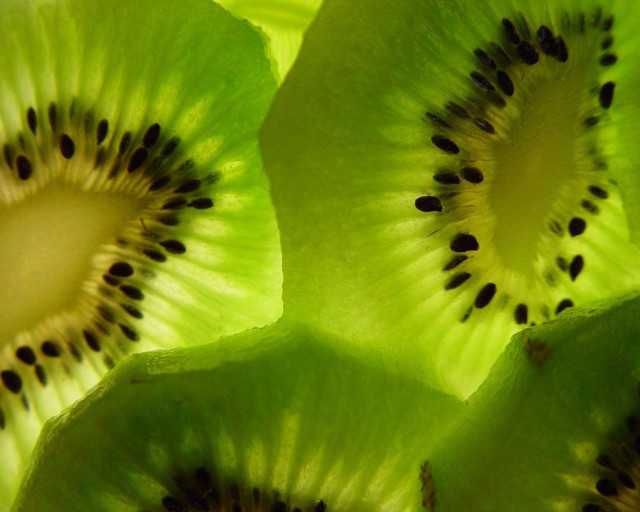 Kiwi slice seeds green background free wallpaper for desktop - medium preview image