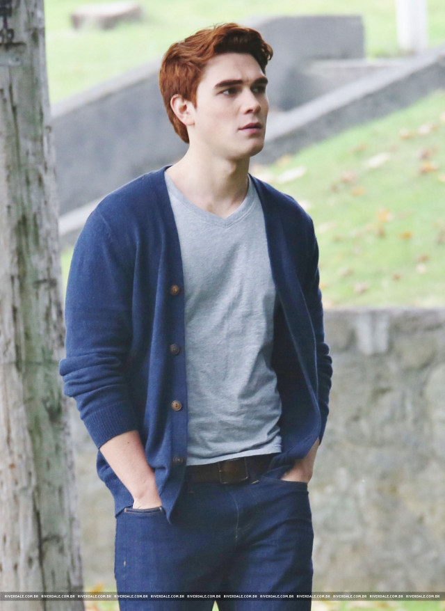 Man tree park greenfield stonewall free wallpaper for mobile - medium preview image