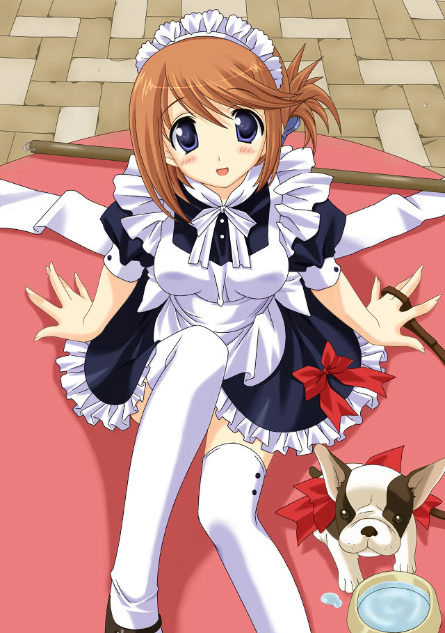 Girl maid outfit bed dog free wallpaper for mobile - medium preview image