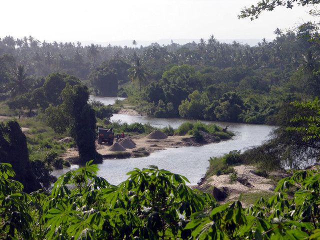 River lush green forest trees free wallpaper for desktop - medium preview image
