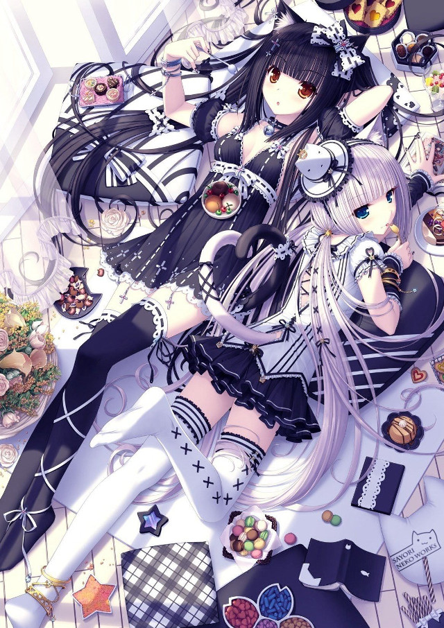 Anime girl floor items cats free wallpaper for mobile - medium preview image