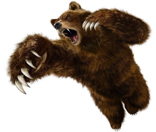 Bear claws air mouth wide #2 free wallpaper for desktop - medium preview image