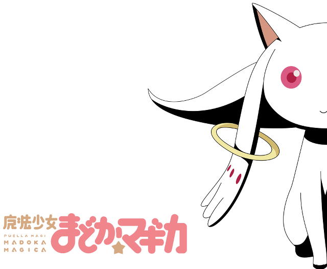 White cat ring neck pink free wallpaper for desktop - medium preview image