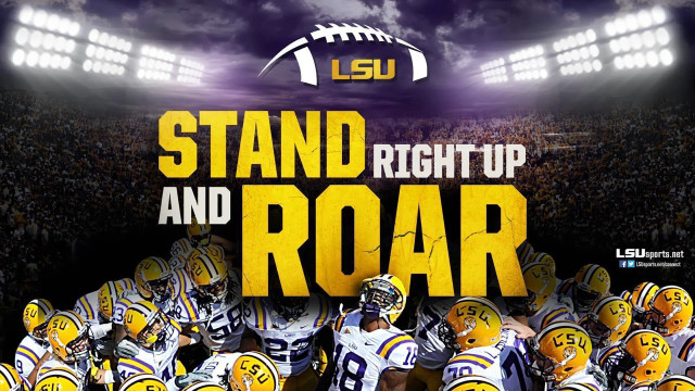 Football players field roar starry free wallpaper for desktop - medium preview image