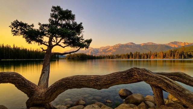 Tree lake mountains sunset dawn free wallpaper for desktop - medium preview image