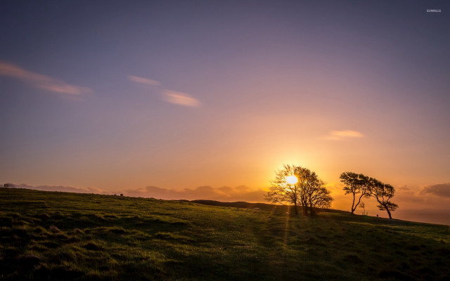 Sunset grassy field trees hills free wallpaper for desktop - medium preview image