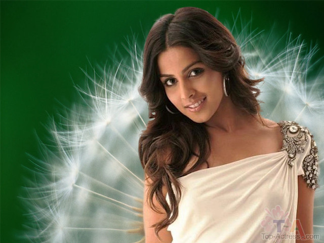 Woman white dress dandelion background free wallpaper for desktop - medium preview image