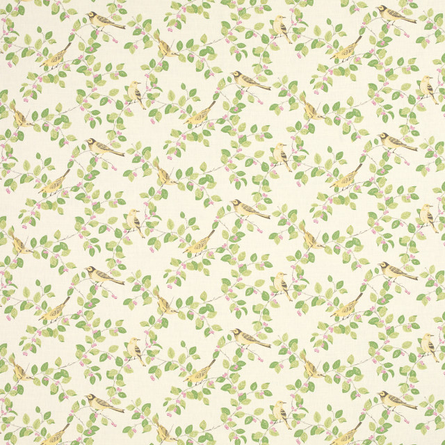 Birds leaves wallpaper white room free wallpaper for tablet - medium preview image