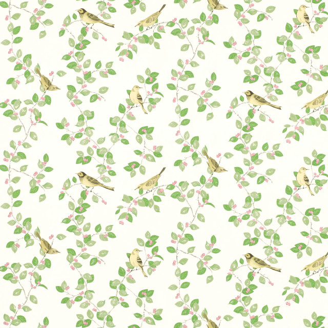 White background birds leaves green free wallpaper for tablet - medium preview image