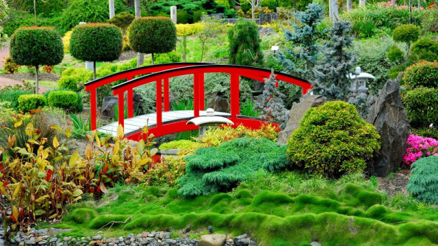 Red bridge pond trees bushes free wallpaper for desktop - medium preview image