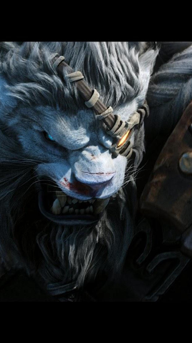 Cat gun bag closeup black free wallpaper for mobile - medium preview image