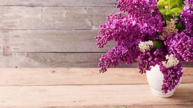 White vase purple flowers wooden free wallpaper for desktop - medium preview image