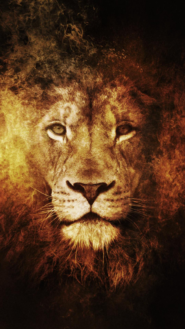 Lion black yellow red head free wallpaper for mobile - medium preview image