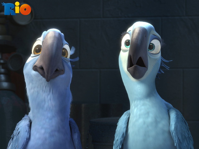 Two birds standing brick wall free wallpaper for desktop - medium preview image