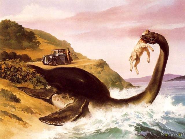 Car dog animal water truck free wallpaper for desktop - medium preview image