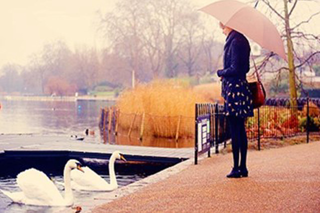 Woman lake swan umbrella standing free wallpaper for desktop - medium preview image