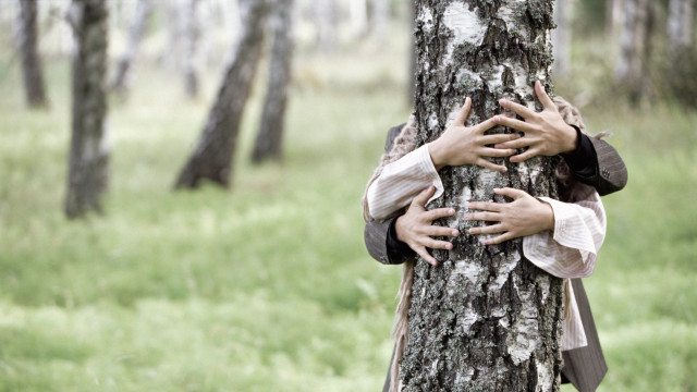 Person hugging tree forest hands free wallpaper for desktop - medium preview image